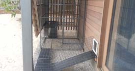 Cat Door with Tunnel to Enclosure