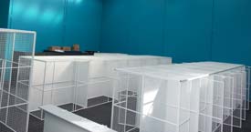 New Cattery in Footscray, Victoria