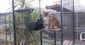 Just Laying Around !