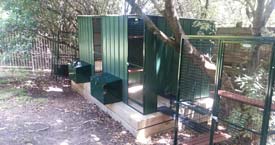 In shade of the Trees